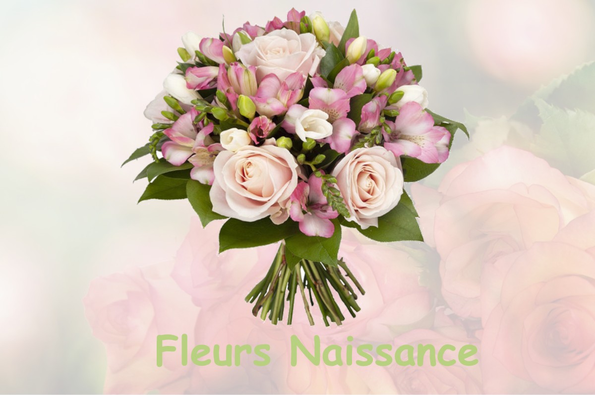 fleurs naissance BRABANT-SUR-MEUSE
