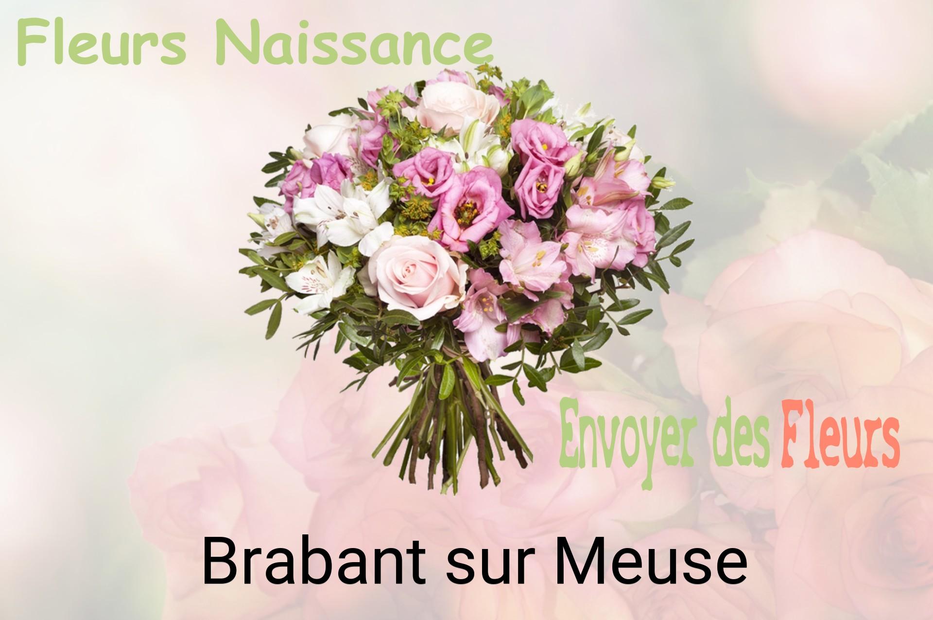 Bouquet de fleurs de naissance livré à Brabant-sur-Meuse