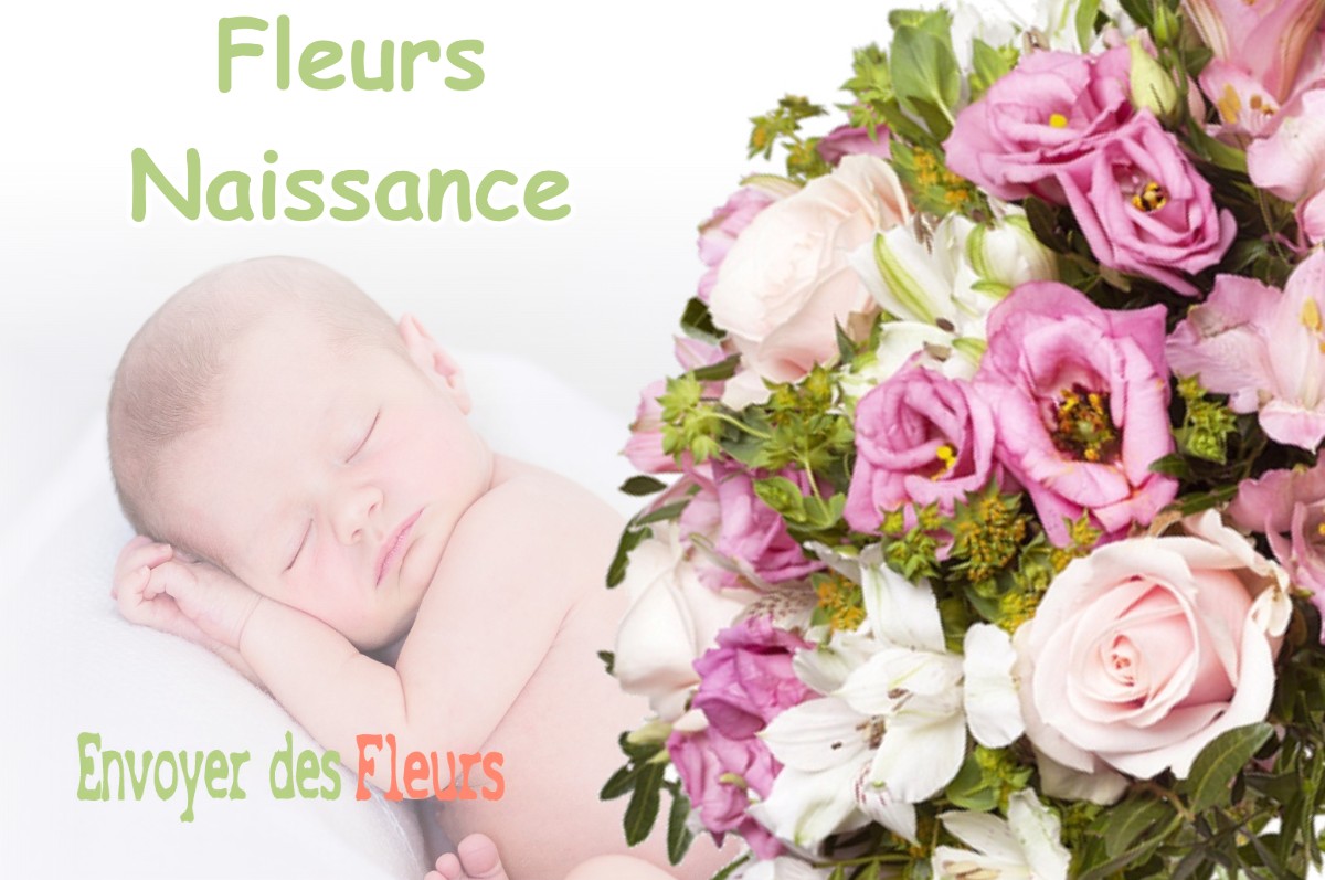 lIVRAISON FLEURS NAISSANCE à BRABANT-SUR-MEUSE